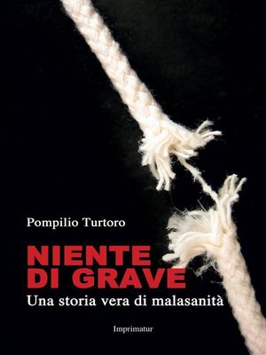 cover image of Niente di grave